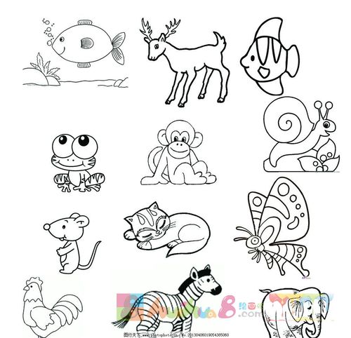 绘画小动物 绘画小动物简单可爱