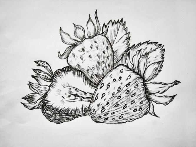 草莓素描图片 草莓素描图片步骤