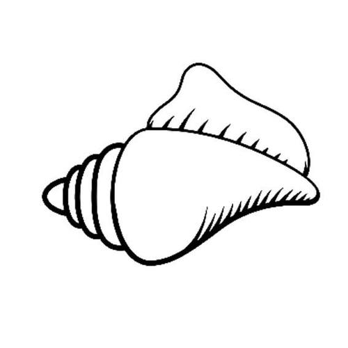 海螺贝壳简笔画 海螺贝壳简笔画步骤