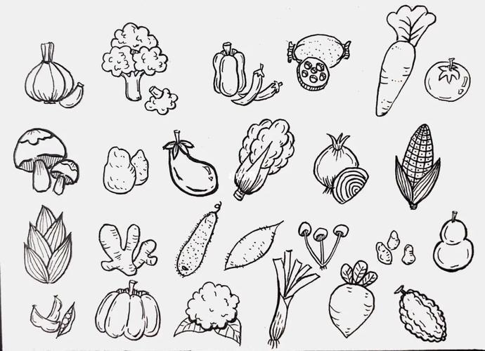 蔬菜大全简笔画 蔬菜大全简笔画带颜色