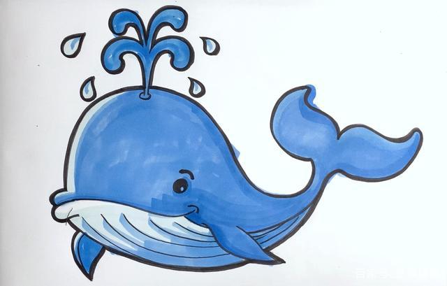 鲸鱼简笔画带颜色 鲸鱼简笔画带颜色简单