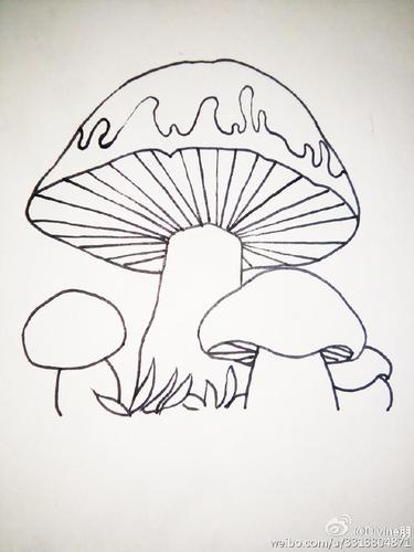 蘑菇怎么画简笔画图片