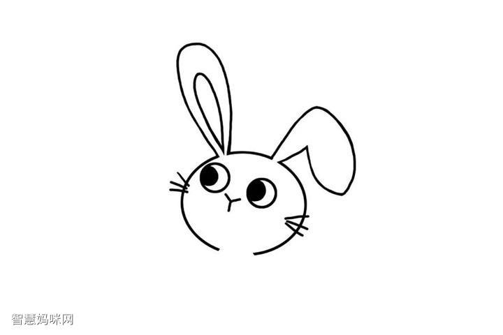 小兔子眼睛简笔画