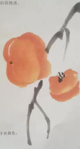柿子的画法 柿子的画法国画视频