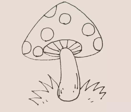 蘑菇简笔画有颜色 蘑菇简笔画颜色的图片