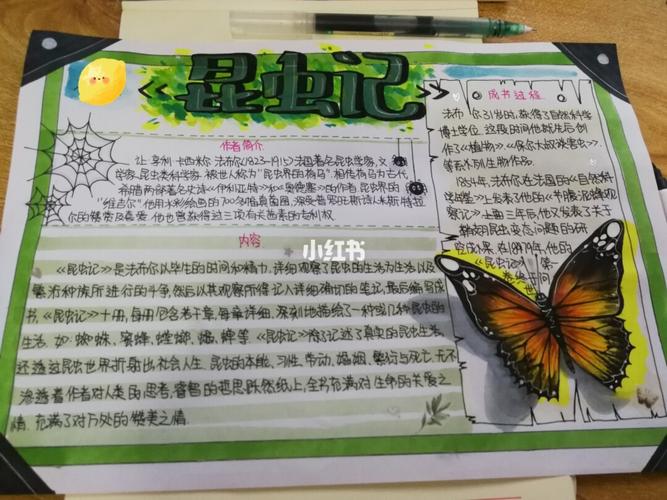 昆虫记手抄报八年级 昆虫记手抄报八年级简单