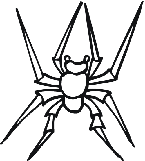 蜘蛛怎么画简笔画 蜘蛛网和蜘蛛怎么画简笔画