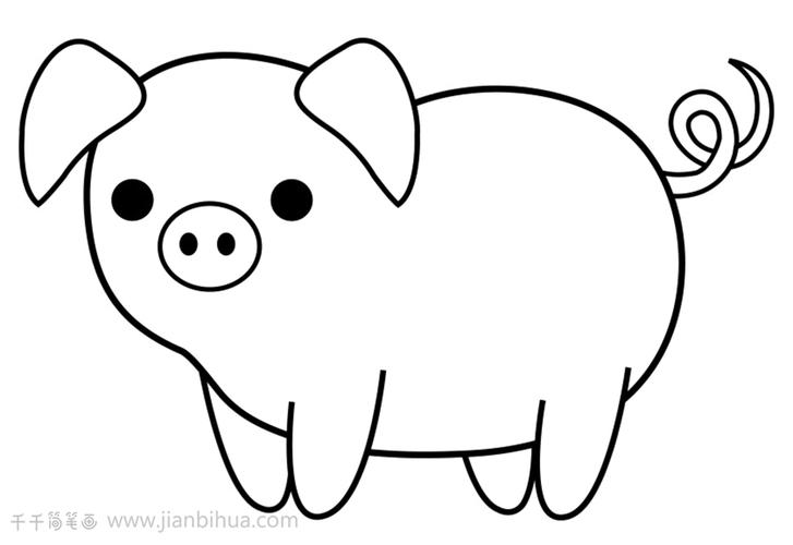 小猪图画简笔画