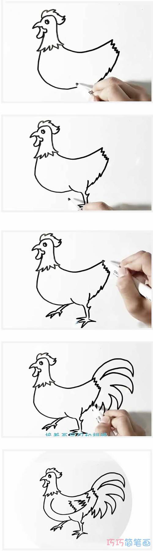 画大公鸡的简笔画