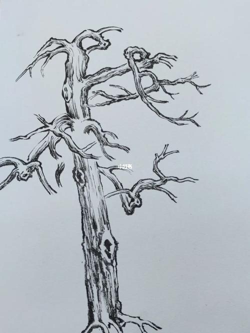 素描树的画法 素描的树怎么画