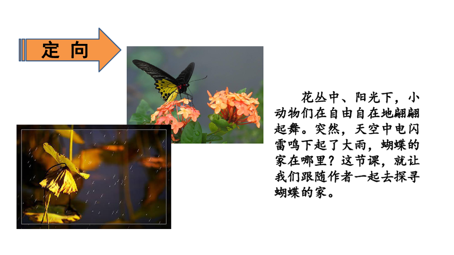 蝴蝶的家思维导图 蝴蝶的家思维导图怎么写