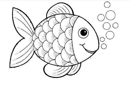海底鱼简笔画 海底鱼简笔画彩色