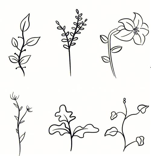 植物的简笔画怎么画简单又漂亮