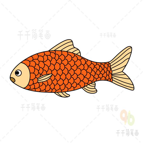 鱼类简笔画 鱼类简笔画彩色