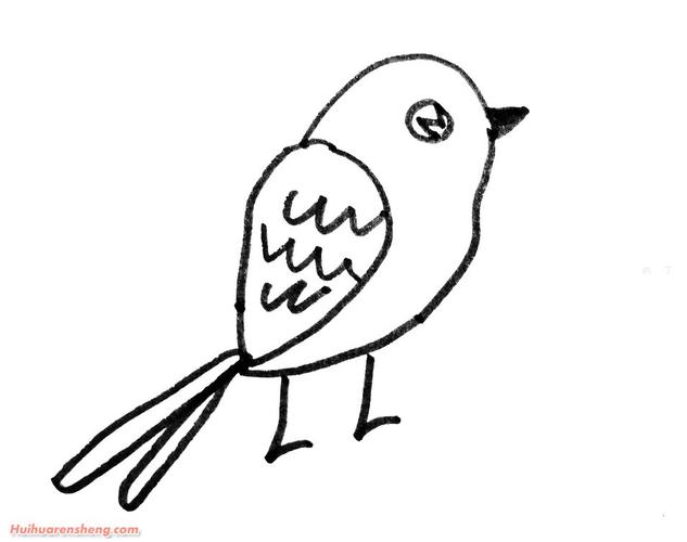 画小鸟的简笔画 画小鸟的简笔画画法