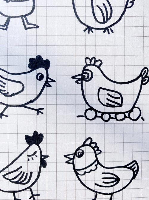 小鸡的图片简笔画