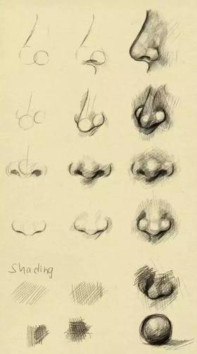 人的鼻子怎么画 鼻子怎么画好看