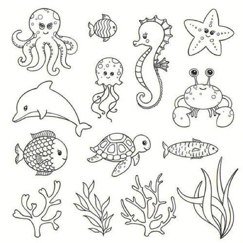 海洋生物图片简笔画 海洋生物图片简笔画一等奖