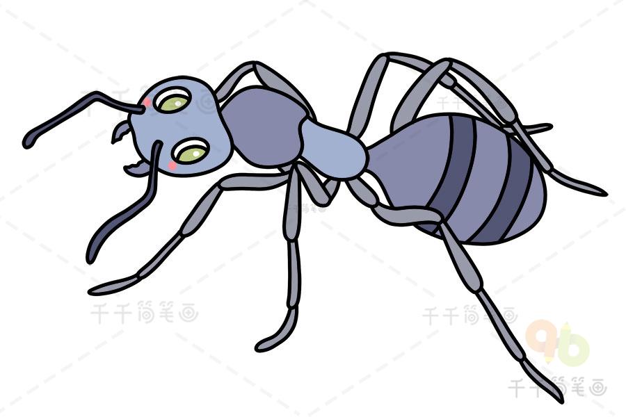 蚂蚁怎么画简笔画 蚂蚁怎么画简笔画可爱
