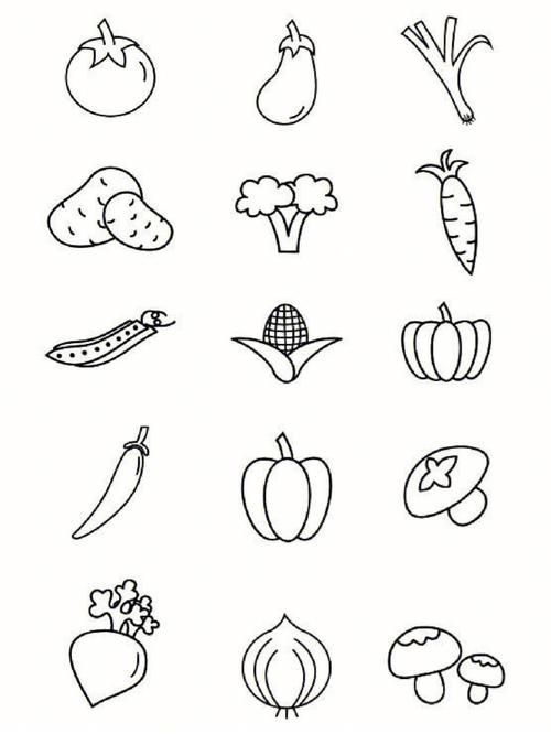菜的简笔画 各种蔬菜的简笔画