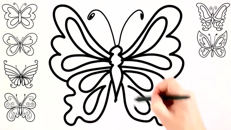 蝴蝶的简单画法 各种蝴蝶的简单画法