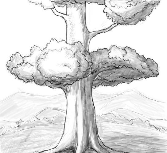 树的画法素描简单图片