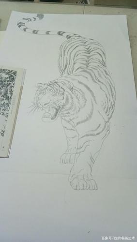 老虎怎么画呀 老虎画法