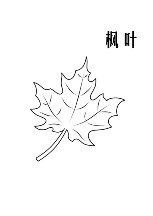枫叶简化图图片