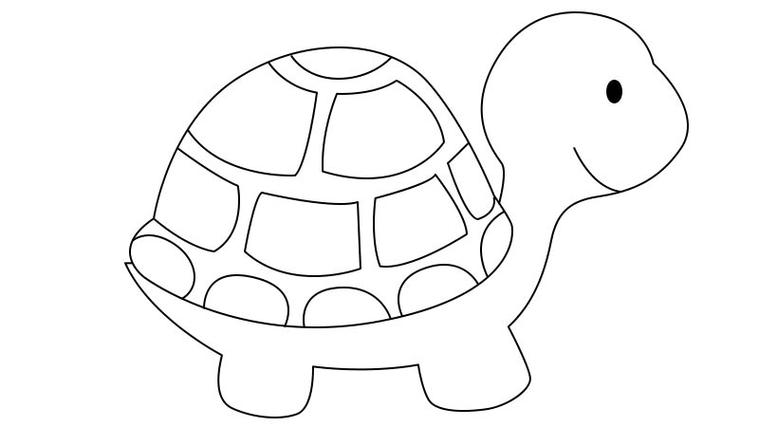 乌龟简笔画可爱