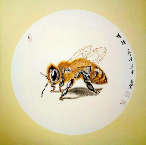 蜜蜂国画写意画法 写意画蜜蜂的画法