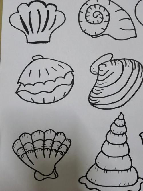 贝壳图片简笔画 贝壳图片简笔画彩色画法