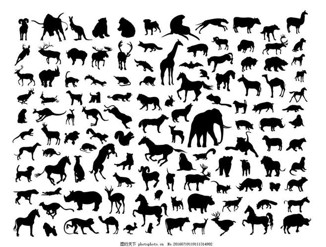 动物世界简笔画 动物世界简笔画图片大全