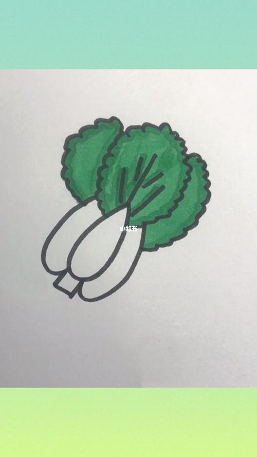 大白菜的简笔画 大白菜的简笔画法