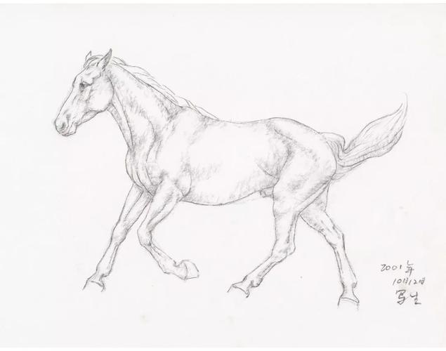 简单的马怎么画帅气图片