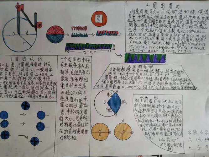 圆的手抄报 六年级 圆的手抄报六年级数学