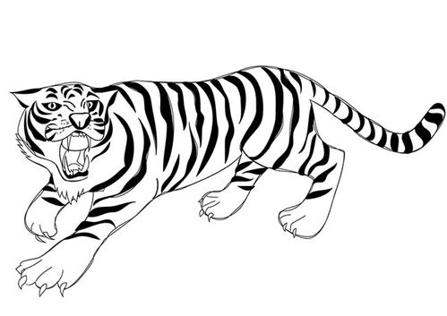 老虎的简笔画怎么画 老虎的简笔画怎么画又简单又可爱