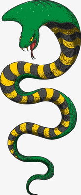 蛇简笔画彩色 蛇简笔画彩色可爱卡通