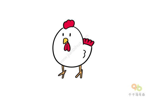 鸡简笔画彩色 大公鸡简笔画彩色