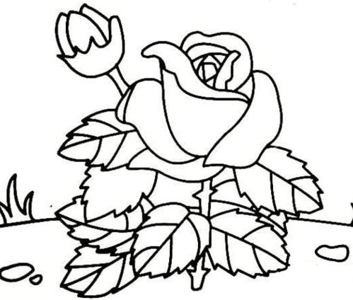 玫瑰花怎么画简笔画 玫瑰花怎么画
