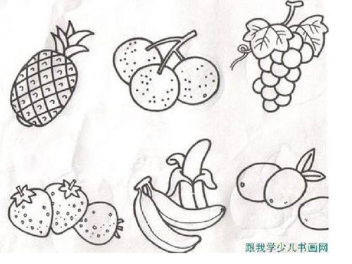 画水果的简笔画 水果简笔画图片大全