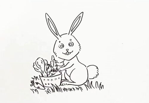 小兔子吃萝卜简笔画 小兔子吃萝卜简笔画图片