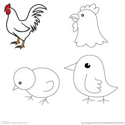 画鸡的图片简笔画 画鸡的图片简笔画配图