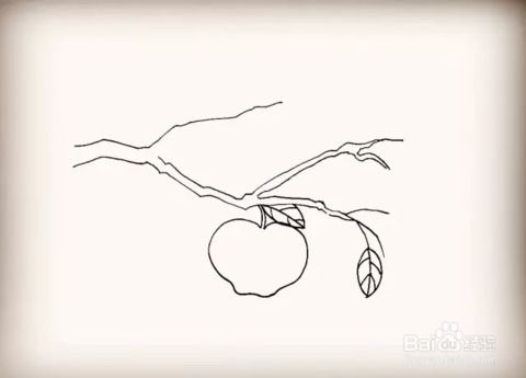 苹果树简笔画 苹果树简笔画图片大全