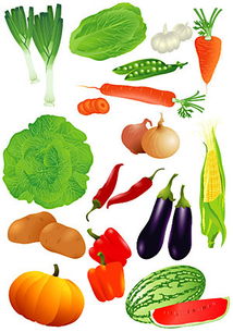 瓜果蔬菜简笔画 春天播种的瓜果蔬菜简笔画