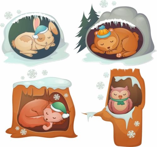 冬眠动物的简笔画图片