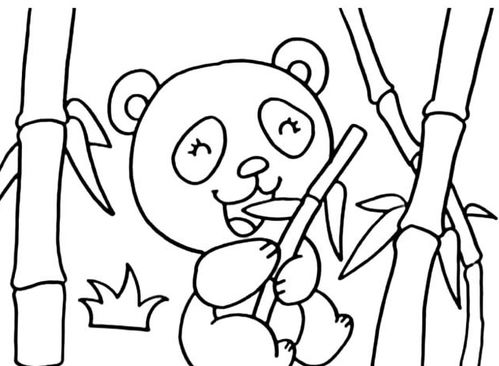 熊猫的简笔画 熊猫的简笔画简单又好看