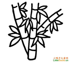 竹子的画法简笔画 怎么样画竹子