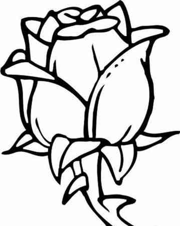 玫瑰花的简笔画 玫瑰花的简笔画怎么画最好看又简单