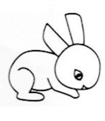 画小白兔简笔画 画小白兔简笔画图片