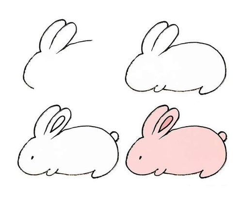 小兔子头像简笔画 小兔子头像简笔画图片大全